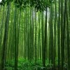 网友昵称：首码网|10:25首码网|10:25