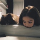 QQ头像