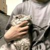 新疆网友98959