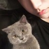 网友昵称：zblog站群