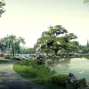 河南网友72837