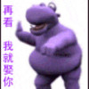 河南网友14087