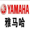 湖北网友73537
