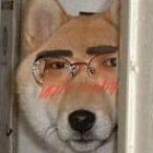 QQ头像