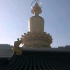 QQ头像