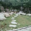 福建网友72634