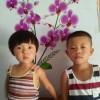 江西网友98644