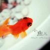 甘肃网友18384