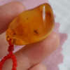 天津网友57372