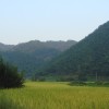青海网友81012
