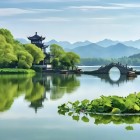 QQ头像