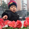 %@丽月