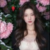浙江网友60181