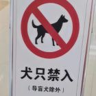 QQ头像