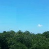 河北网友73316