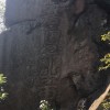 黑龙江网友47216