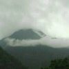 山东网友92490