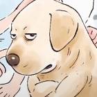 QQ头像