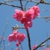 河南网友67215