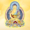 河南网友98592