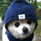 QQ头像