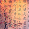 江西网友66905