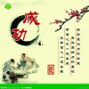 用户头像图片