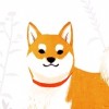 容e狂呆