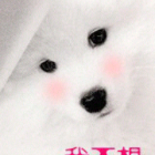 QQ头像