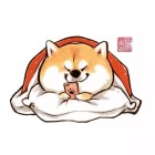QQ头像