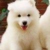 江苏网友13063