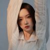 福建网友68593