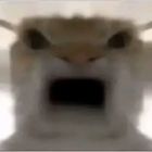 QQ头像