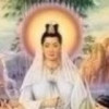 陕西网友70332