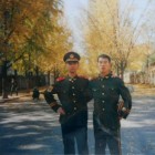 QQ头像