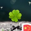 湖北网友73760