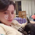QQ头像