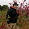 广西网友35777