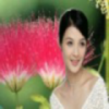 重庆网友35264