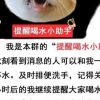 山东网友65278