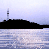 青海网友39357