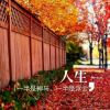 广东网友77038