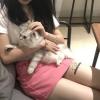 乐0容水