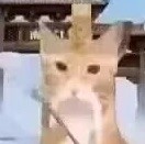 QQ头像