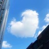 湖北网友68213