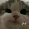 广东网友88093