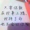 浙江网友16126