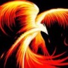 网友昵称：zblog企业模板