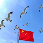 QQ头像