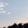 天津网友41175